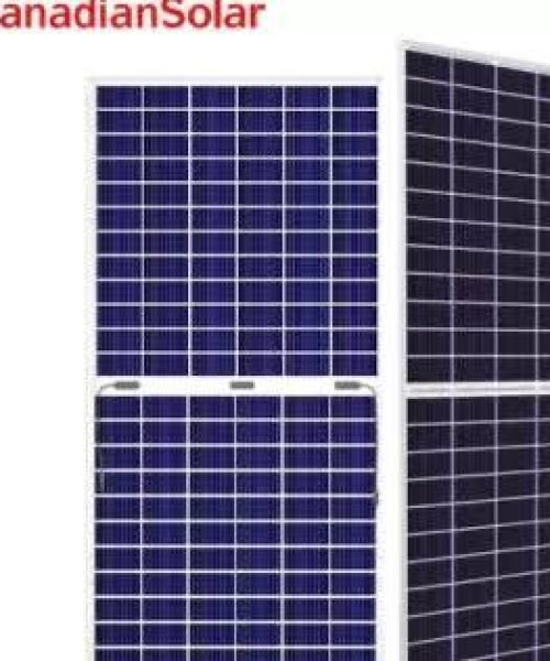 WhatsApp Image 2024-04-26 at 8.28.08 AM