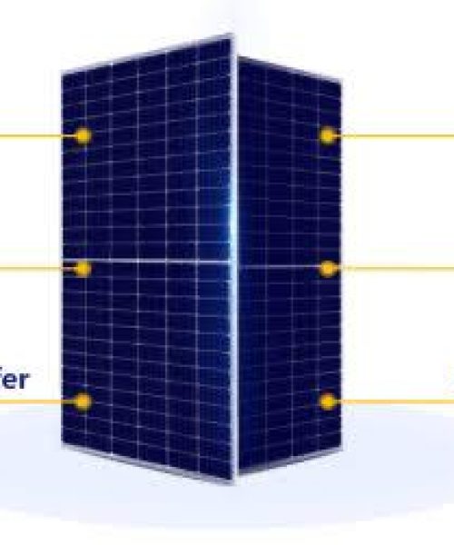 WhatsApp Image 2024-04-26 at 8.28.09 AM