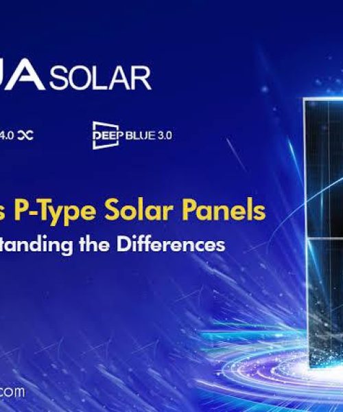 WhatsApp Image 2024-04-26 at 8.28.10 AM