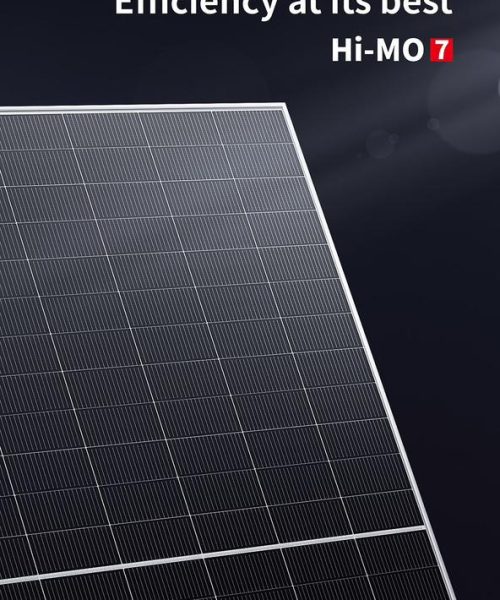 WhatsApp Image 2024-04-26 at 8.28.11 AM (1)