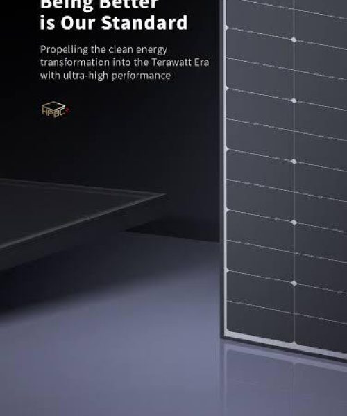 WhatsApp Image 2024-04-26 at 8.28.12 AM (1)